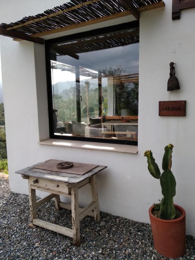 טולוקס The African House מראה חיצוני תמונה